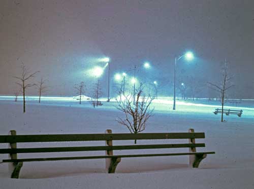 Lincoln Park Snowstorm